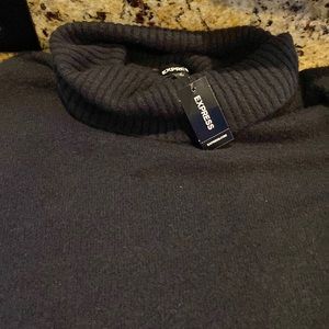Express turtle neck style. Like cashmere feel. Slightly cropped fit